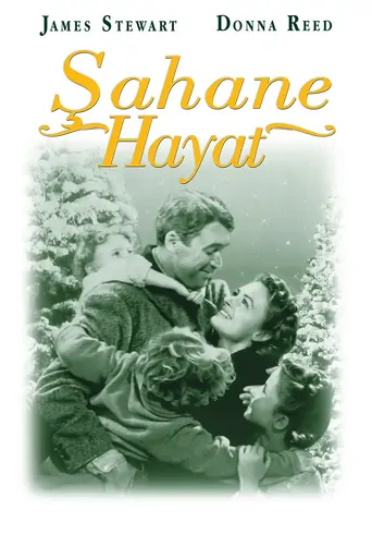 Watch Şahane Hayat Film