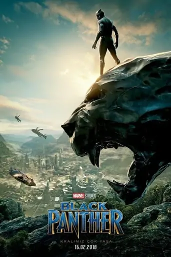 Regarder Black Panther Film