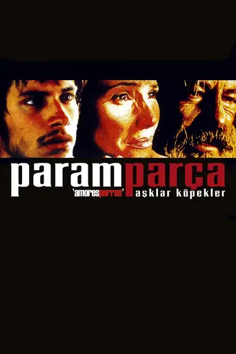 Watch Paramparça Aşklar Köpekler Film